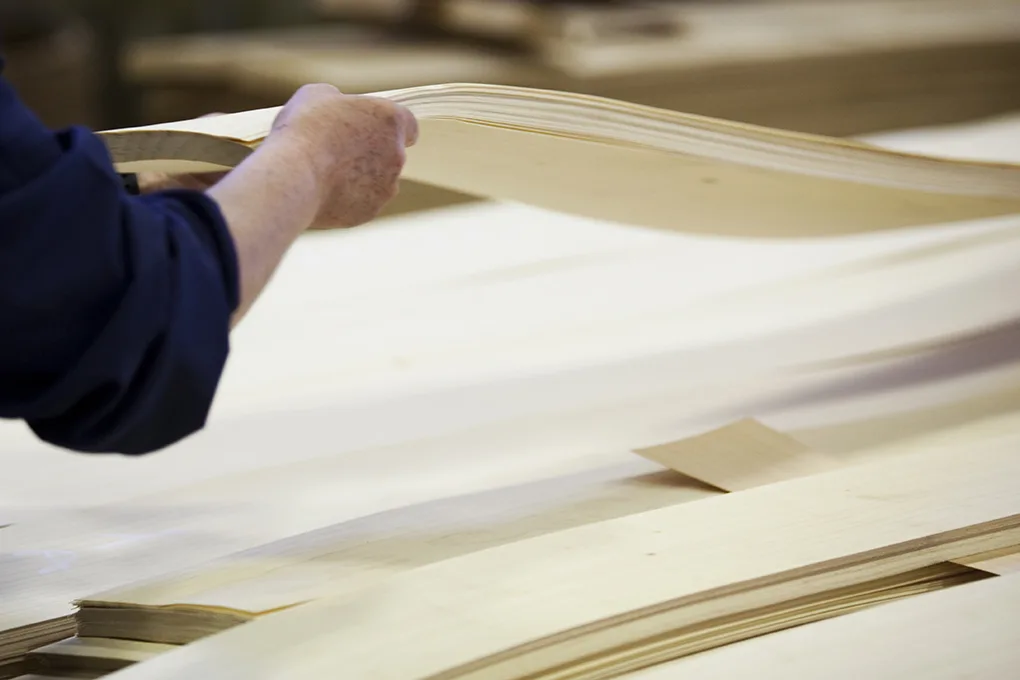 FOGLI TRANCIATO CON OPERATRICE IMG_3409